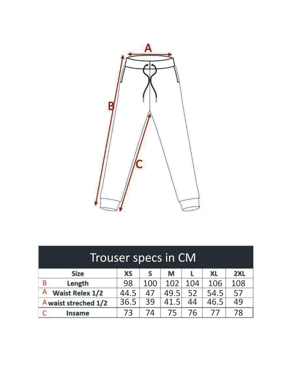 MEN'S TROUSER HAIDER GRAY WITH LOGO EMB
