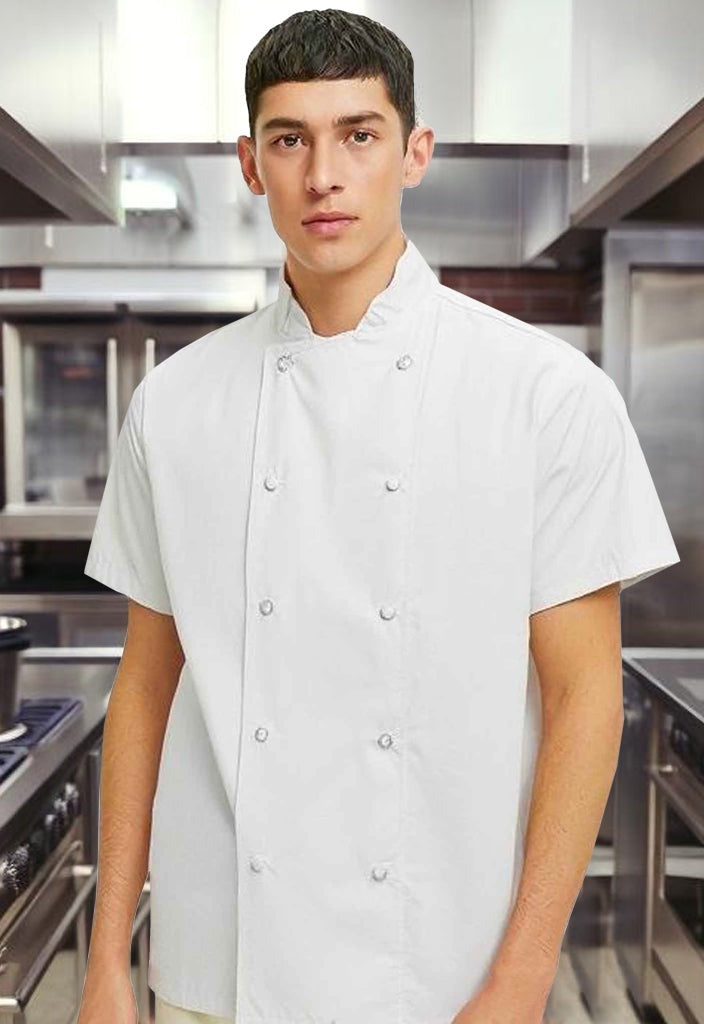 DG H/S PROFESSIONAL CHEF JACKET (COMBO OF 2 JACKETS)